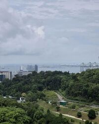 Normanton Park (D5), Apartment #602664281